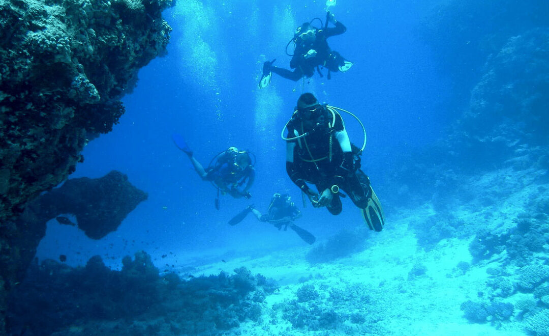 La plongée sous-marine à Hyères, Giens et le Var